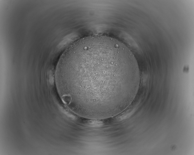 X0000097000719200802081444