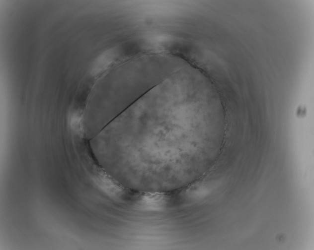 X0000097000720200802081444