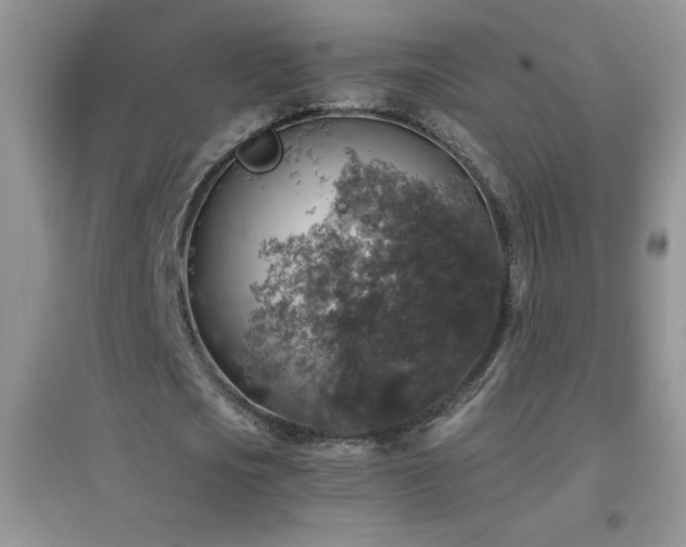 X0000097000721200802081443