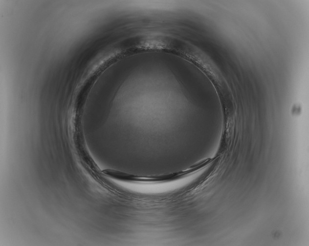 X0000097000722200802081443
