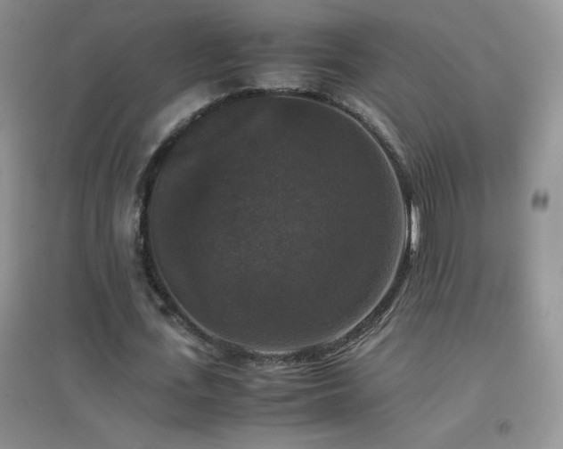 X0000097000723200802081443