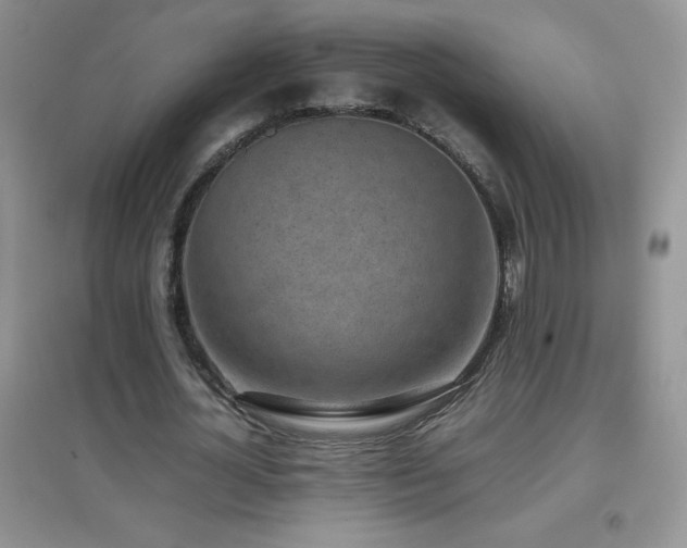 X0000097000724200802081443