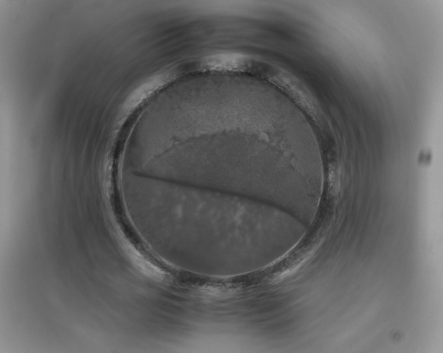 X0000097000725200802081443