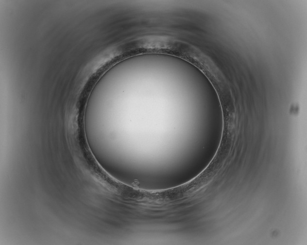 X0000097000727200802081443