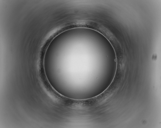 X0000097000728200802081443