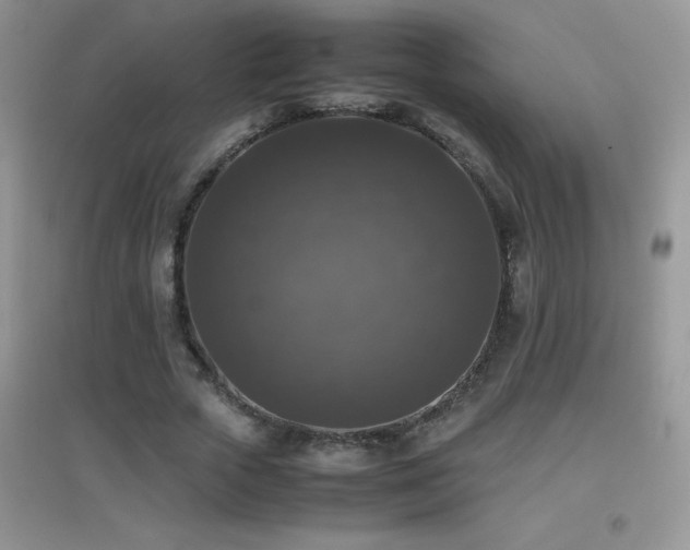 X0000097000729200802081443