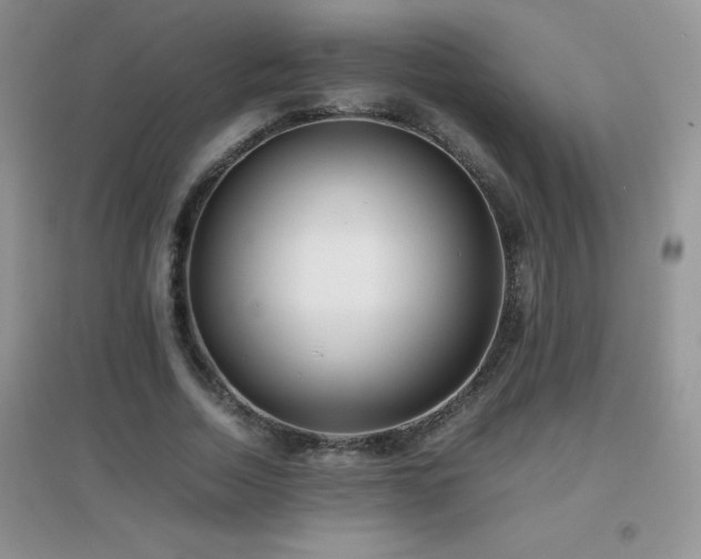X0000097000730200802081443