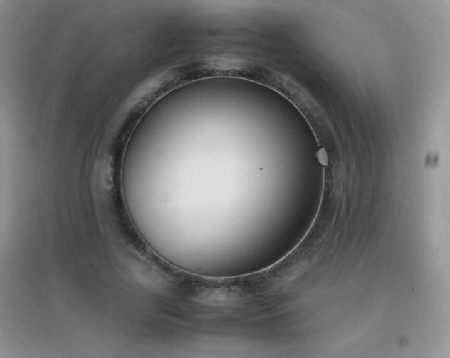 X0000097000731200802081443