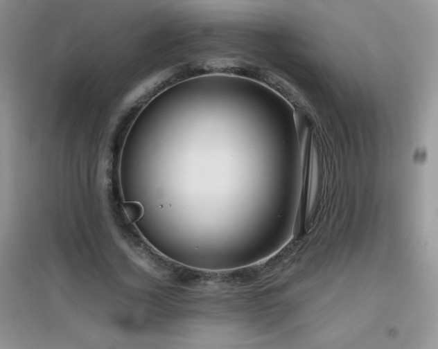 X0000097000732200802081443