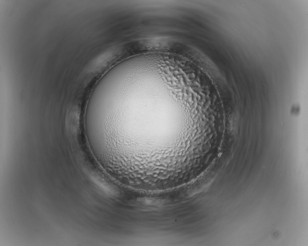 X0000097000733200802081443