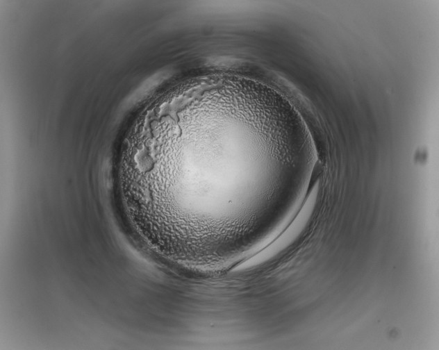 X0000097000734200802081443
