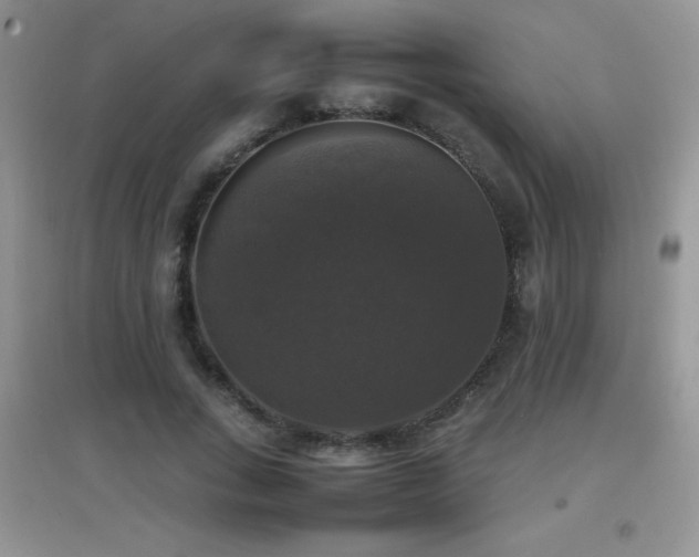 X0000097000735200802081443