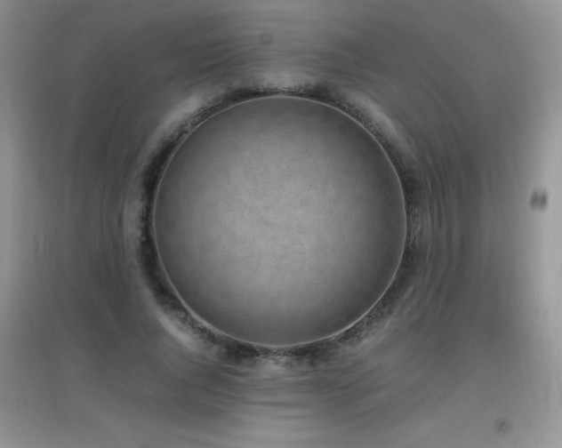 X0000097000736200802081443