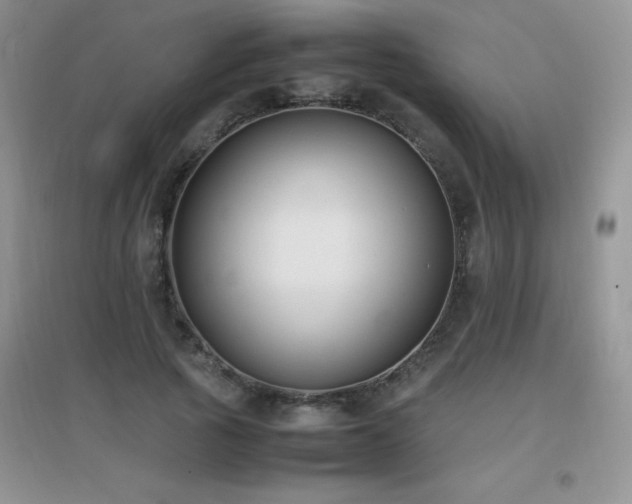X0000097000737200802081444