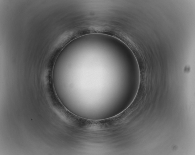 X0000097000738200802081444
