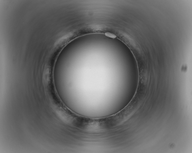 X0000097000740200802081444