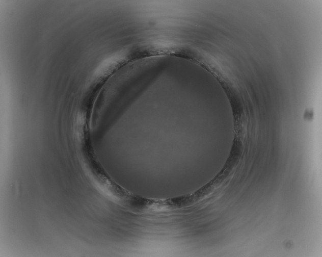 X0000097000742200802081444