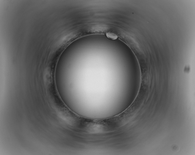 X0000097000743200802081444