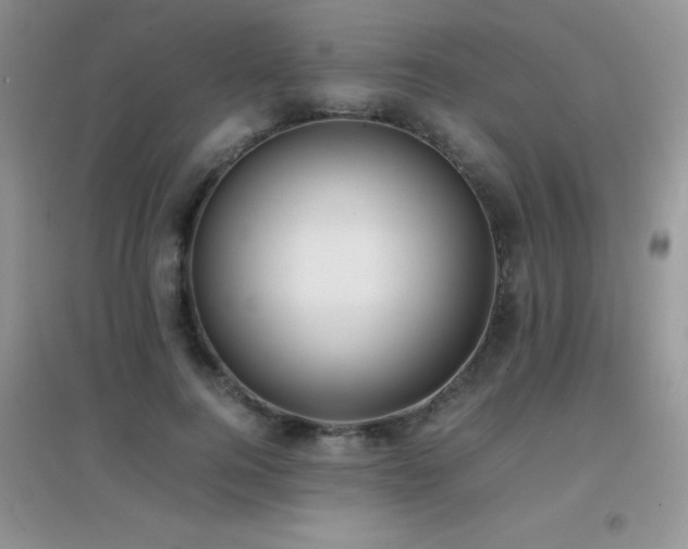 X0000097000744200802081444