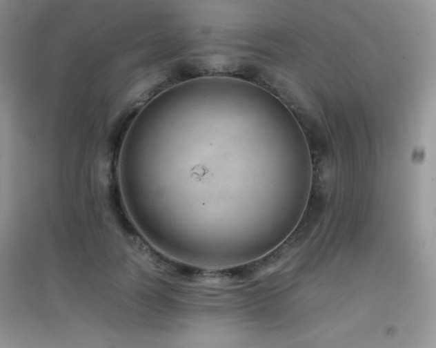 X0000097000746200802081444