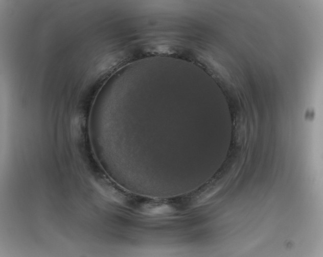 X0000097000747200802081444