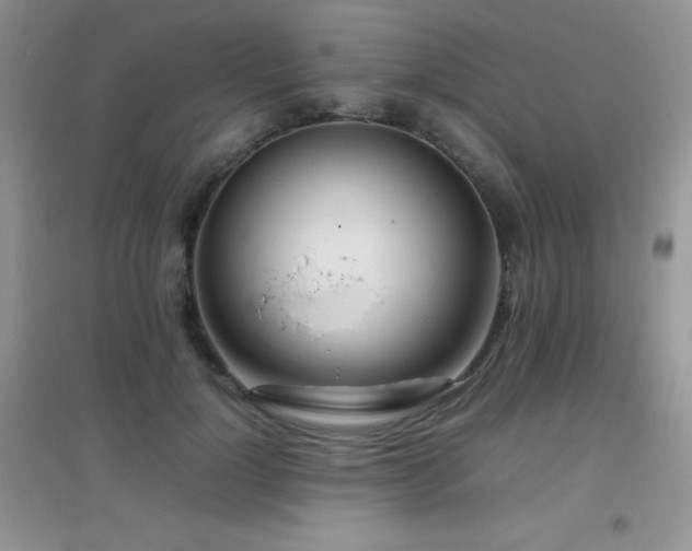 X0000097000748200802081444