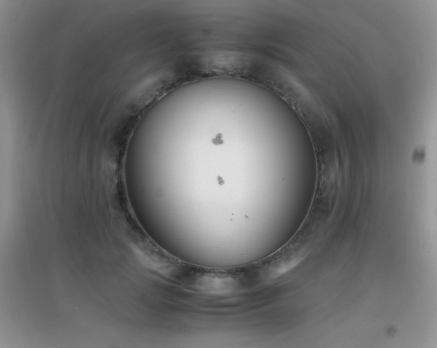 X0000097000749200802081444