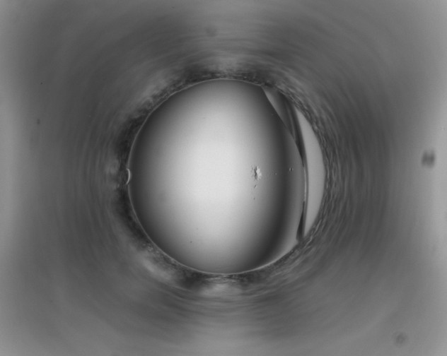 X0000097000750200802081444