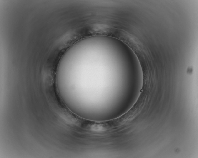 X0000097000751200802081444