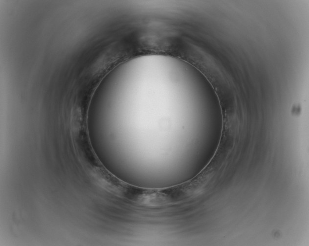 X0000097000752200802081444