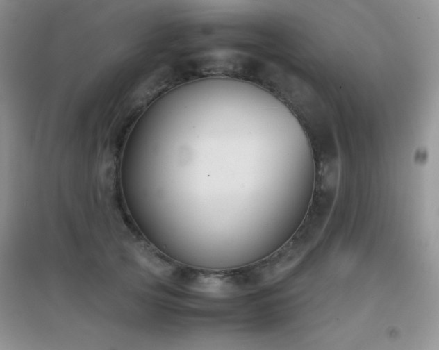 X0000097000753200802081444