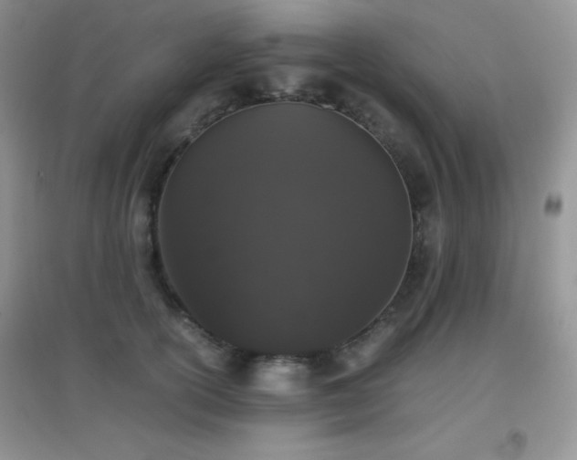 X0000097000754200802081444