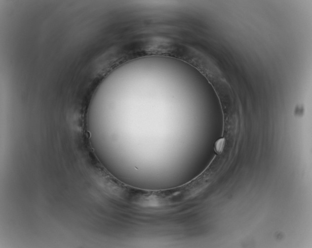 X0000097000755200802081444