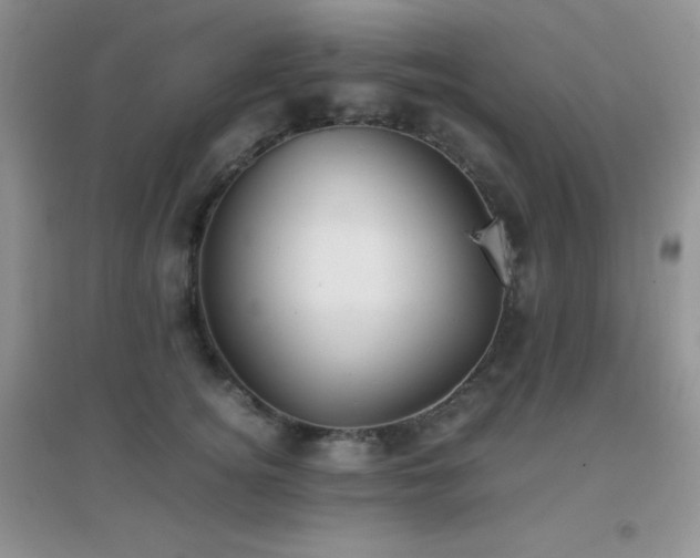 X0000097000756200802081444