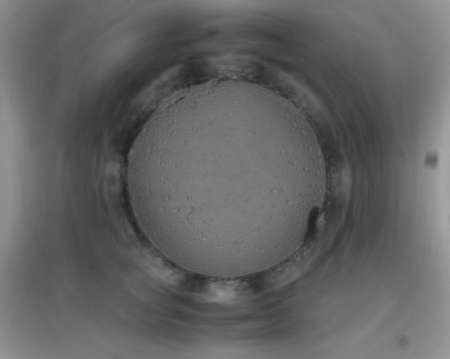 X0000097000757200802081444