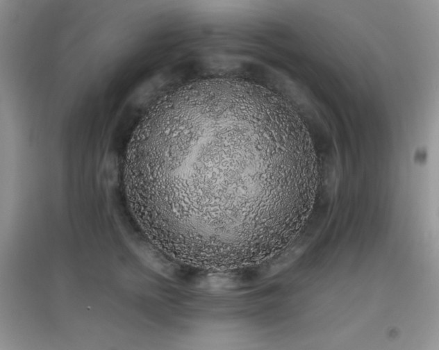 X0000097000758200802081444