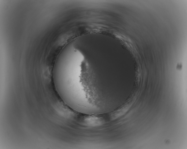 X0000097000759200802081444