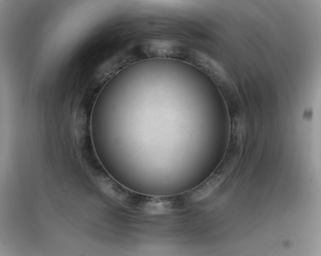 X0000097000760200802081444