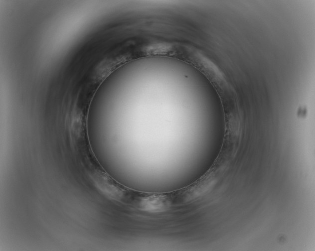 X0000097000761200802081444