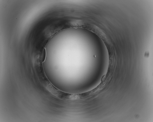 X0000097000762200802081444