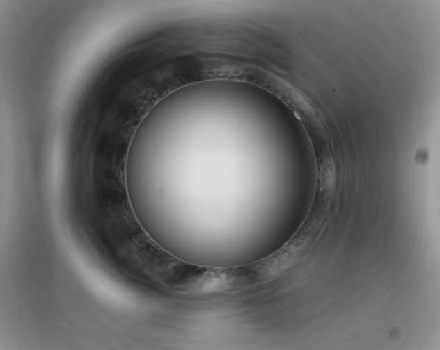 X0000097000764200802081444