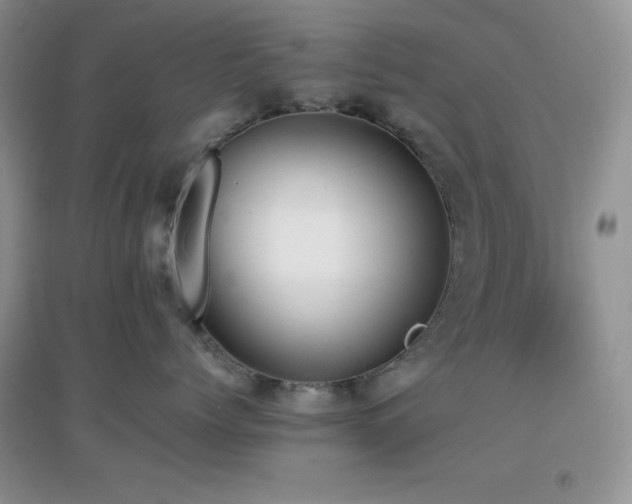 X0000097000768200802081444