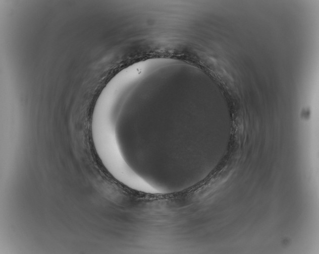 X0000097000769200802081443