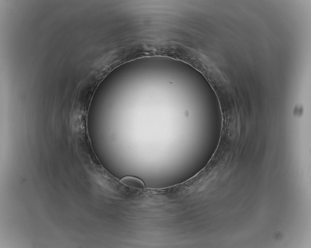 X0000097000770200802081443