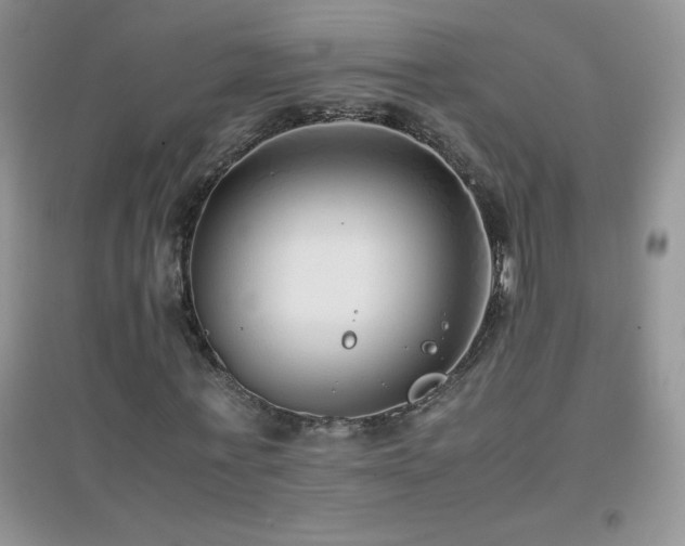X0000097000771200802081443