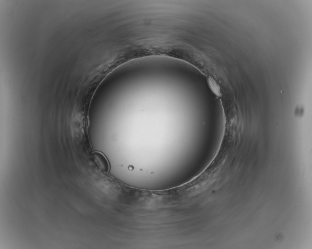X0000097000772200802081443