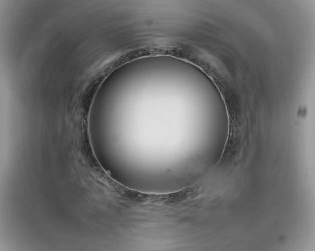 X0000097000773200802081443