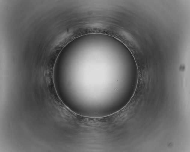 X0000097000774200802081443