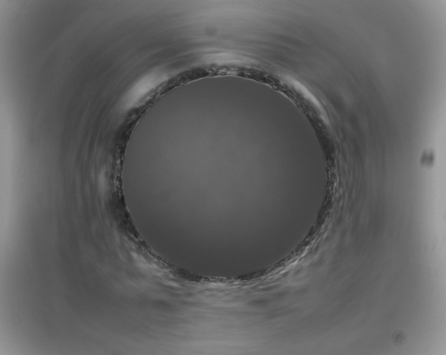 X0000097000775200802081443