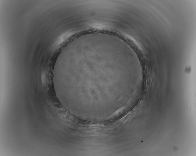 X0000097000776200802081443